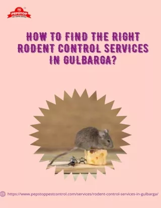 How to find the right Rodent Control Services in Gulbarga-pepstoppestcontrol.com_