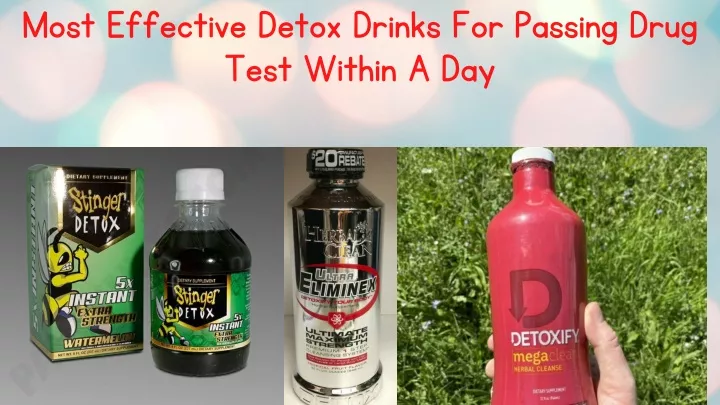 Detox Drinks To Pass Drug Test PPT - Most Effective Detox Drinks For Passing Drug Test Within A Day