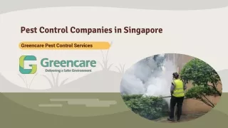 Pest Control Companies in Singapore – Greencare