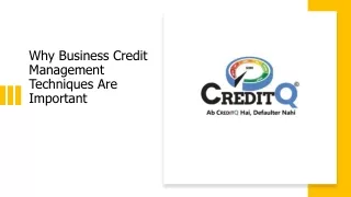 why business credit management techniques are important