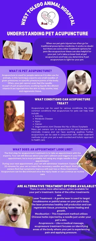 Constantly looking Pet Care | Westtoledoanimalhospital.com