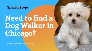 sparkysteps