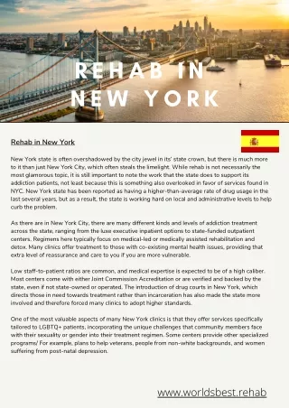 Rehabs in New York