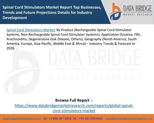 PPT - Spinal Cord Stimulators Market Report Top Businesses, Trends and ...