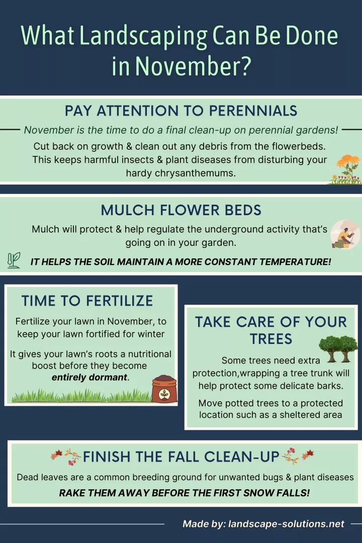 pay attention to perennials