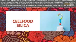 cellfood silica