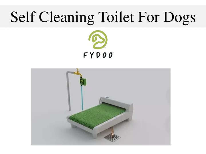 self cleaning toilet for dogs