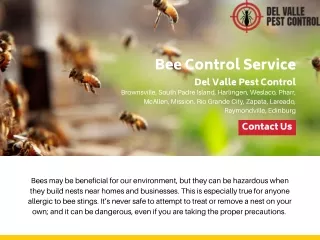 Professional Bee Control Service in McAllen