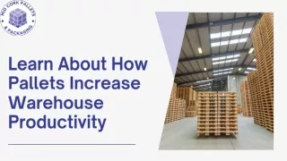 Learn About How Pallets Increase Warehouse Productivity