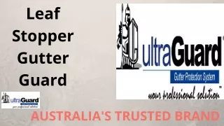 Leaf Stopper Gutter Guard