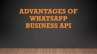 Advantages of Whatsapp Business API