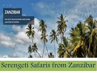 Serengeti Safaris from Zanzibar