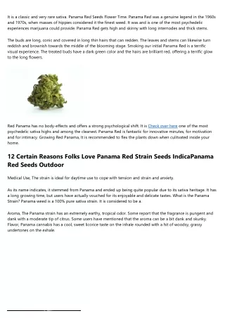Typical Mistaken Beliefs About Sensational Effects Of Panama Red Strain Seeds