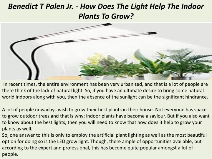 benedict t palen jr how does the light help the indoor plants to grow