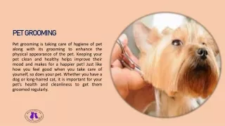 Benefits of Professional Pet Grooming Services |Whiskers on Kittens Boarding