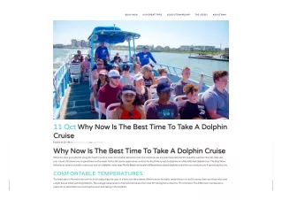 Why Now Is The Best Time To Take A Dolphin Cruise