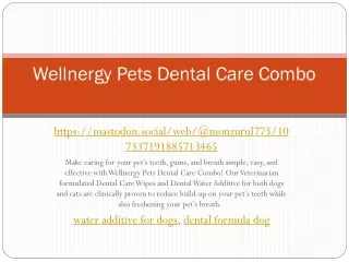 Wellnergy Pets Dental Care Combo
