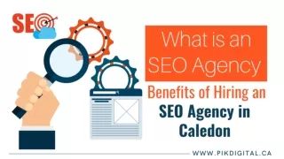 What is an SEO Agency and the Benefits of Hiring an SEO agency in Caledon?