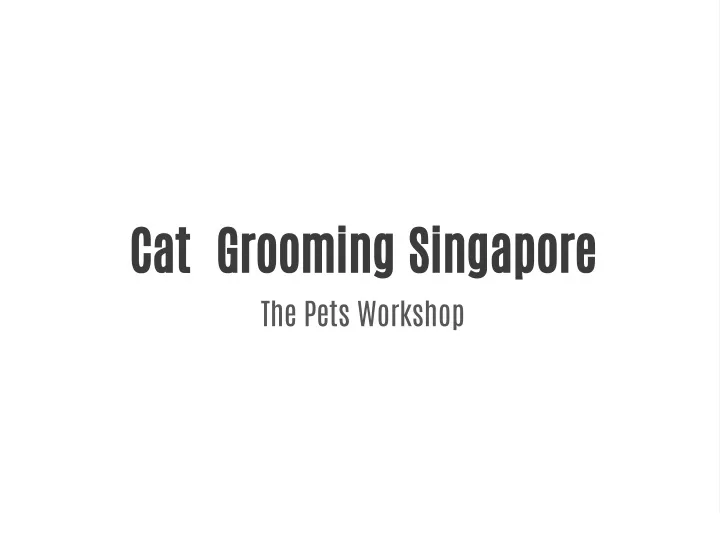 cat grooming singapore the pets workshop