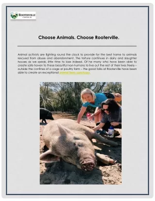 choose animals choose rooterville