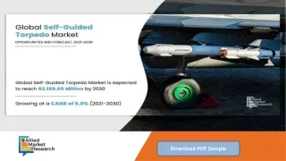 Self-Guided Torpedo Market In-Depth Analysis during 2020-2030