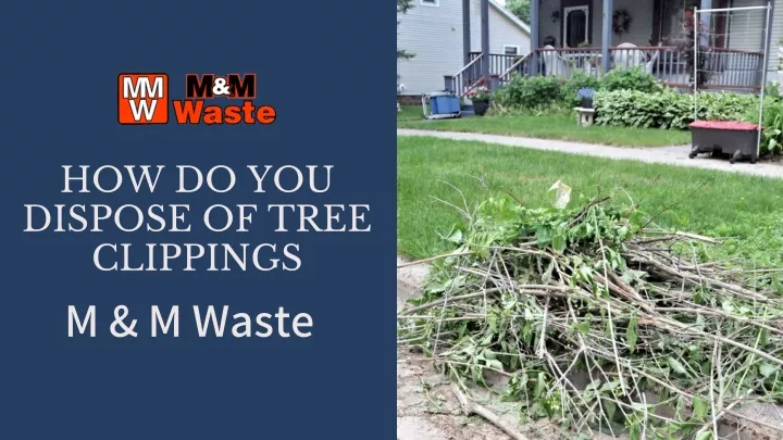 how do you dispose of tree clippings m m waste