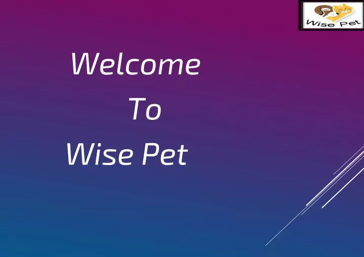 welcome to wise pet
