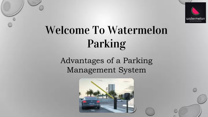 welcome to watermelon parking