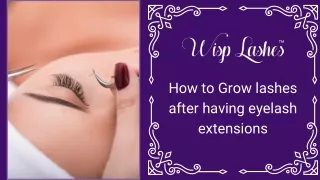 It’s a dream to have long and luscious beautiful lashes. So, boost your lash gro
