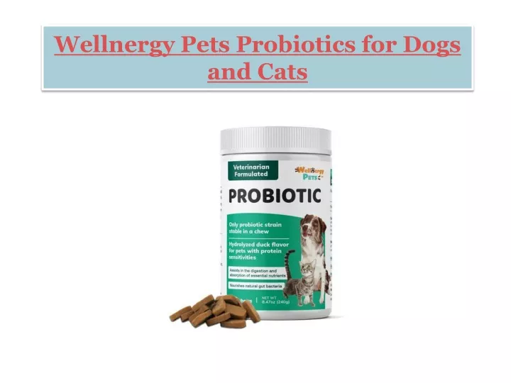 wellnergy pets probiotics for dogs and cats