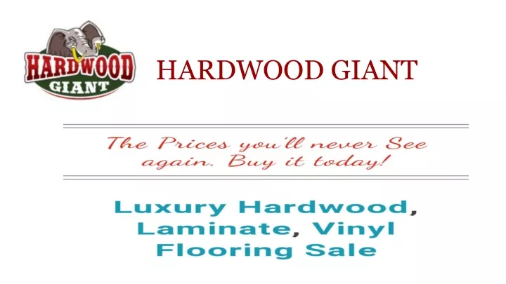 hardwood giant