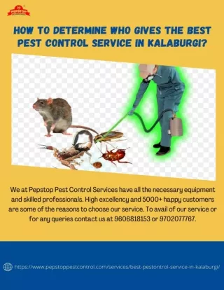 How to Determine Who Gives the Best Pest Control Service in Kalaburgi-pepstoppestcontrol.com_