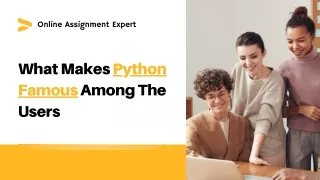 online assignment expert