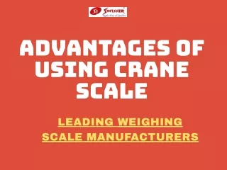 advantages of using crane scale