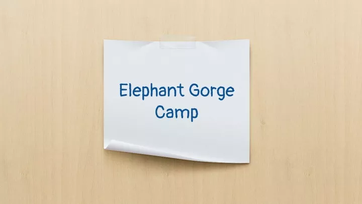 elephant gorge camp