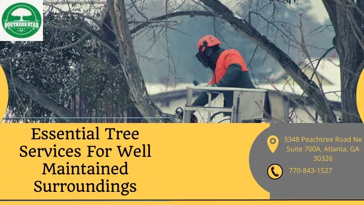 essential tree services for well maintained