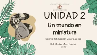 UNIDAD 2-CCNN