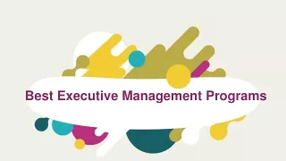 Best Executive Management Programs