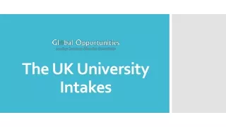 the uk university intakes