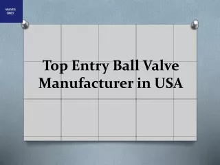 Top Entry Ball Valve Manufacturer in USA