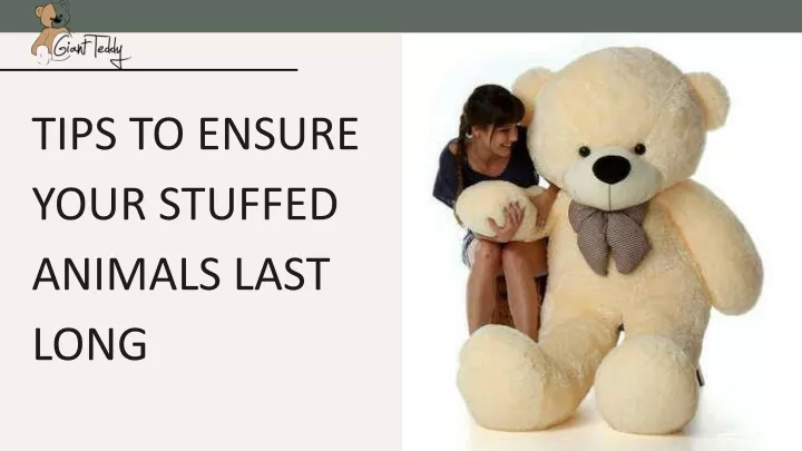 tips to ensure your stuffed animals last long