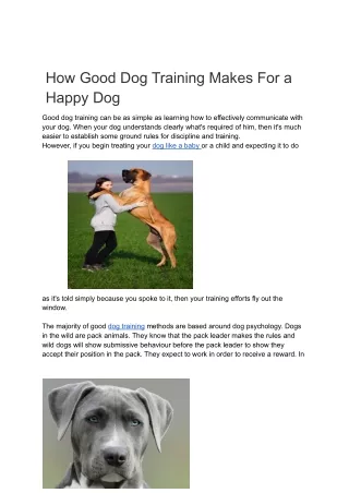 How Good Dog Training Makes For a Happy Dog