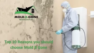 Top 10 Reasons you should choose Mold B Gone