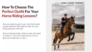 how to choose the perfect outfit for your horse