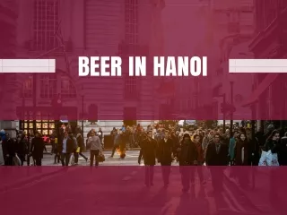 beer in hanoi