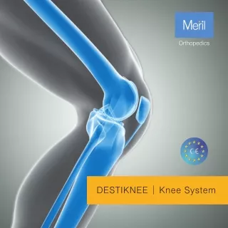 All About Destiknee by Meril Life