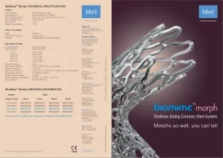 BIOMIME MORPH: Sirolimus Eluting Coronary Stent System by Meril Life