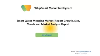 Global Smart Water Metering Market  Industry | Whipsmartmi