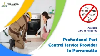 Professional Pest Control Service Provider In Parramatta