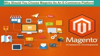 why should you choose magento as an e commerce
